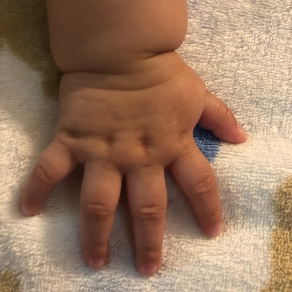 Meet your Posher, Prisciilla - Picture 1 of 1